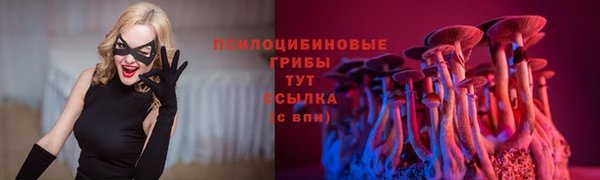 mdpv Россошь