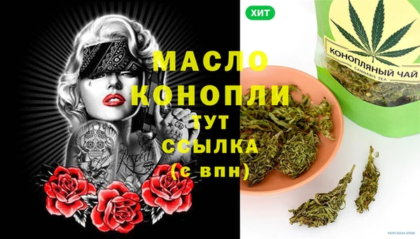 индика Абдулино