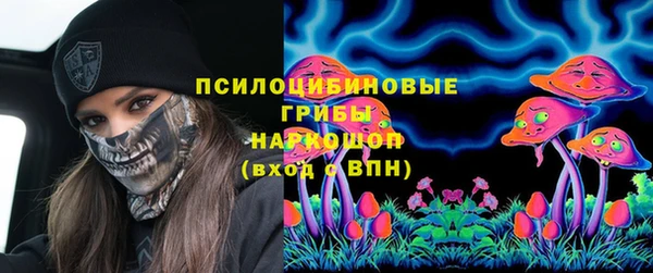индика Абдулино